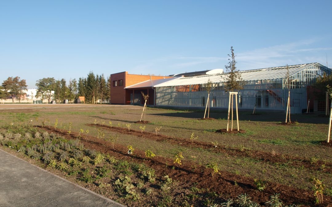 Školní ekologická zahrada – živá laboratoř