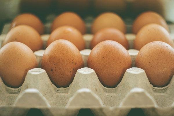 Nejvíce dovezených vajec pochází z Polska