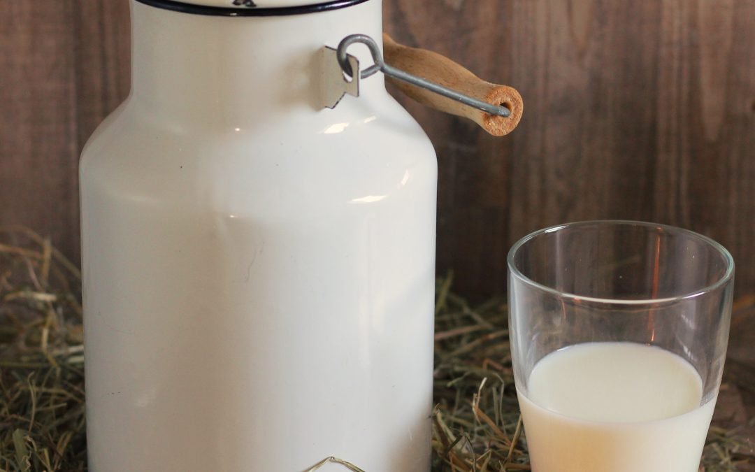10 nejčastějších mýtů spojených s konzumací mléka