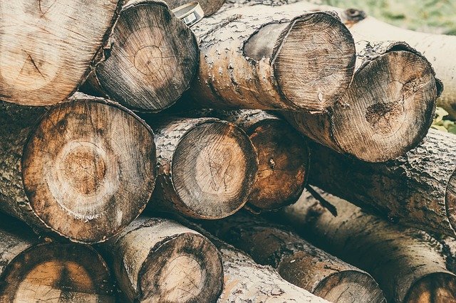 Vláda schválila vyšší příspěvky pro vlastníky lesů včetně Lesů ČR