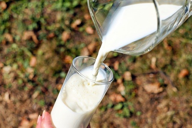 Cenovka – mléko – prosinec 2022