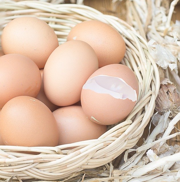 Cenovka – vejce – únor 2023