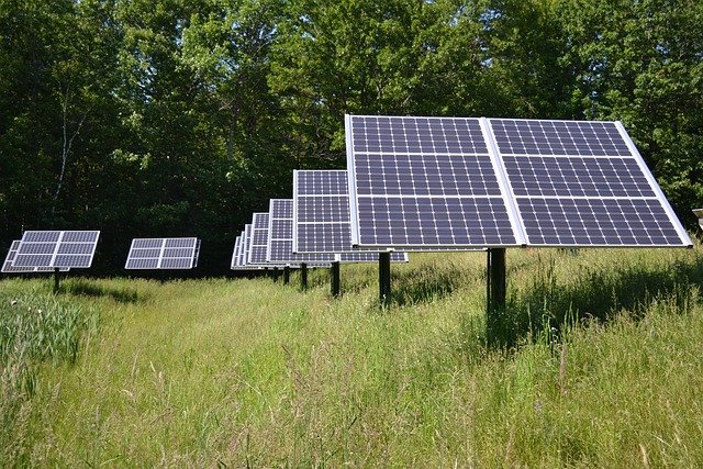 Agrovoltaika spojuje zemědělství a výrobu elektřiny